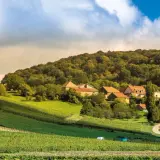 Paysage bucolique avec vignobles en terrasses menant à un hameau pittoresque, évoquant le charme du domaine Roumier.