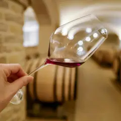 Main d'une personne tenant un verre de vin rouge dans une cave à vin, avec des tonneaux en arrière-plan. Quel vin bourguignon ?