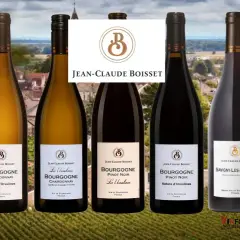 Six bouteilles de vin de Bourgogne, dont des Pinot Noir et Chardonnay, signées Jean-Claude Boisset, sur fond de vignoble.
