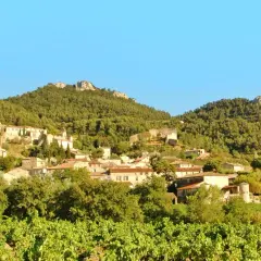 Vue d'un village pittoresque niché sur une colline boisée, avec des vignes au premier plan. Le domaine des bosquets semble paisible sous un ciel bleu clair.
