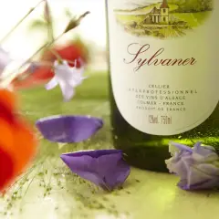 Bouteille de Sylvaner, le meilleur vin d'Alsace, entourée de coquelicots et de fleurs bleues.