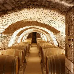 Cave voûtée en pierre, éclairée par des spots, remplie de fûts de chêne. Un lieu idéal pour le vieillissement des vins de Prosper Maufoux.