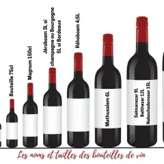 Illustration de bouteilles de vin de différentes tailles, du piccolo au Primat, pour apprendre à lire une étiquette de vin.