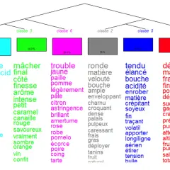 Arbre de classification des vins, avec des mots décrivant la couleur, l'arôme et la texture. La densité du vin rouge est évoquée par des termes comme "sombre", "grenat", "pourpre", "noir", "fumer", "framboise", "opaque", "coulis", "violacé", "confiture...