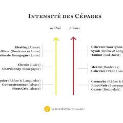 Graphique comparant l'acidité et les tanins de divers cépages, dont le Pinot Noir de Bourgogne.