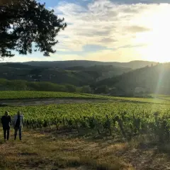 Deux hommes se promènent dans les vignes au coucher du soleil, près du **château de Poncié**. Le paysage vallonné est baigné d'une lumière dorée.