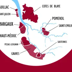 Carte illustrant la classification des vins de Bordeaux, avec les appellations comme Pauillac, Margaux, Pomerol, et les cépages principaux.