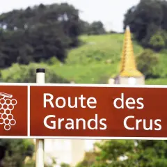 Panneau "Route des Grands Crus" en Bourgogne, promesse d'un vin rouge de Bourgogne très réputé. Paysage de vignobles et clocher doré en arrière-plan.