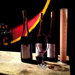 Trois bouteilles de vin, un verre et une éprouvette graduée sur une table en bois, dans l'ambiance du domaine de la rectorie.