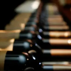 Des bouteilles de vin alignées, évoquant les meilleurs vins du Roussillon, dans une cave sombre.