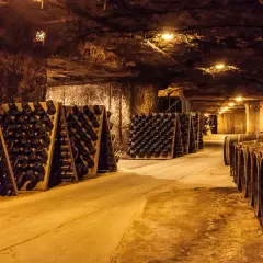 Intérieur d'une cave troglodyte, avec des rangées de bouteilles de vin sur des pupitres et des tonneaux en bois.