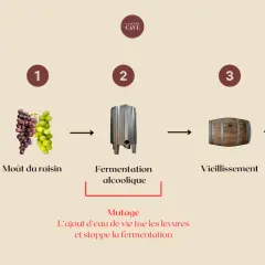 Schéma de fabrication d'un vin muté : moût de raisin, fermentation, vieillissement, mise en bouteille. Le mutage stoppe la fermentation.