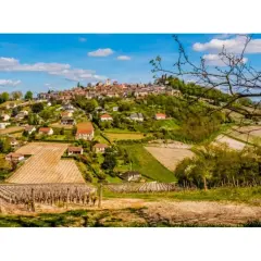 Paysage bucolique de la région de Sancerre, avec un village perché sur une colline, entouré de vignobles et de champs verdoyants sous un ciel bleu.