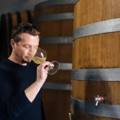 Un homme déguste un verre de vin blanc, peut-être un chardonnay, dans une cave à vin.