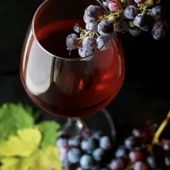 Verre de vin rouge avec des grappes de raisin, évoquant la conservation du beaujolais nouveau.