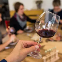 Une main tient un verre de vin rouge, prêt pour une initiation oenologie. Des personnes sont assises à une table en arrière-plan.