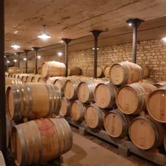 Cave à vin de Jacques Prieur, remplie de fûts en bois empilés, prêts à vieillir le vin.