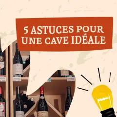 Des bouteilles de vin sur des étagères, avec une bulle de dialogue "5 astuces pour une cave idéale". Un tableau millésime vin.