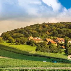 Paysage bucolique avec vignobles en terrasses menant à un hameau pittoresque, évoquant le charme du domaine Roumier.