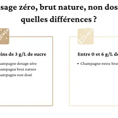 Infographie expliquant les différences entre champagne dosage zéro, brut nature et non dosé, avec des seuils de sucre.