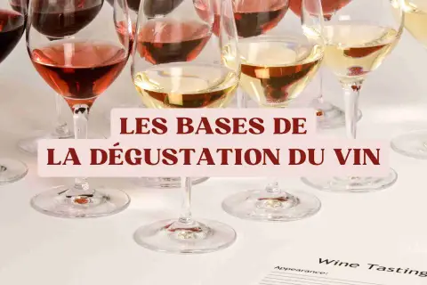 Verres de vin rouge, rosé et blanc alignés, prêts pour une dégustation. Les bases du vin expliquées.