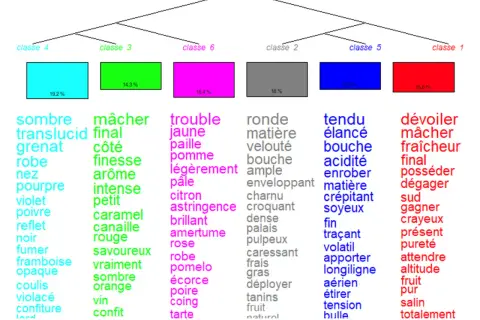 Arbre de classification des vins, avec des mots décrivant la couleur, l'arôme et la texture. La densité du vin rouge est évoquée par des termes comme "sombre", "grenat", "pourpre", "noir", "fumer", "framboise", "opaque", "coulis", "violacé", "confiture...