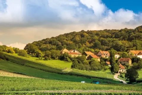 Paysage bucolique avec vignobles en terrasses menant à un hameau pittoresque, évoquant le charme du domaine Roumier.