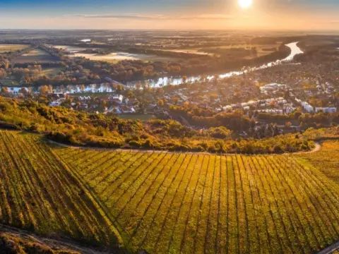 Vins hongrois - Au-delà de Tokaj, le guide complet