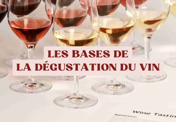 Verres de vin rouge, rosé et blanc alignés, prêts pour une dégustation. Les bases du vin expliquées.