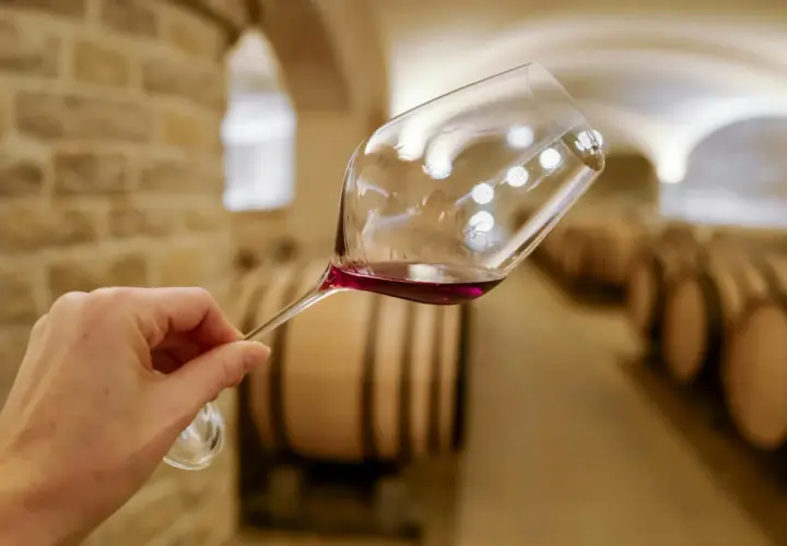 Main d'une personne tenant un verre de vin rouge dans une cave à vin, avec des tonneaux en arrière-plan. Quel vin bourguignon ?