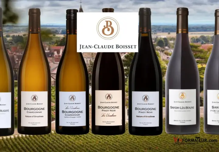 Six bouteilles de vin de Bourgogne, dont des Pinot Noir et Chardonnay, signées Jean-Claude Boisset, sur fond de vignoble.