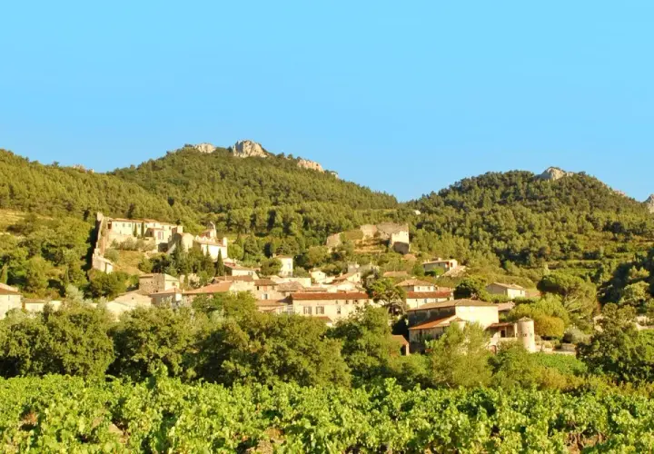 Vue d'un village pittoresque niché sur une colline boisée, avec des vignes au premier plan. Le domaine des bosquets semble paisible sous un ciel bleu clair.