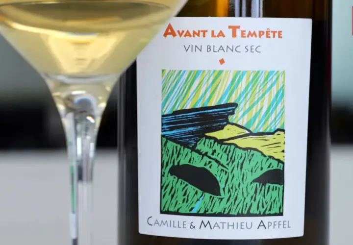Verre de vin blanc sec "Avant la Tempête" de Camille & Mathieu Apffel, un potentiel meilleur vin de Savoie blanc.