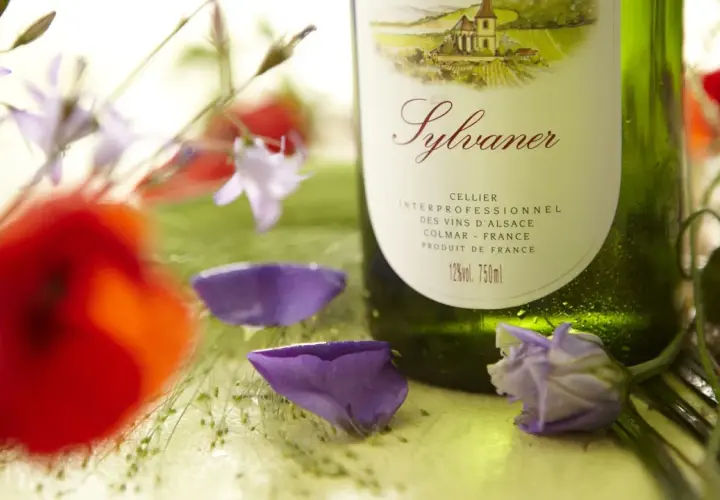 Bouteille de Sylvaner, le meilleur vin d'Alsace, entourée de coquelicots et de fleurs bleues.