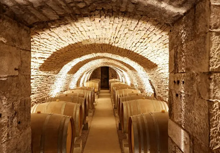 Cave voûtée en pierre, éclairée par des spots, remplie de fûts de chêne. Un lieu idéal pour le vieillissement des vins de Prosper Maufoux.