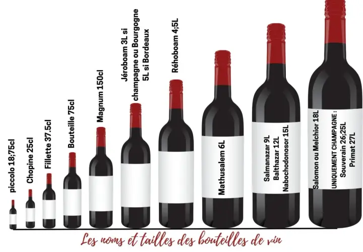 Illustration de bouteilles de vin de différentes tailles, du piccolo au Primat, pour apprendre à lire une étiquette de vin.