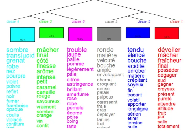 Arbre de classification des vins, avec des mots décrivant la couleur, l'arôme et la texture. La densité du vin rouge est évoquée par des termes comme "sombre", "grenat", "pourpre", "noir", "fumer", "framboise", "opaque", "coulis", "violacé", "confiture...