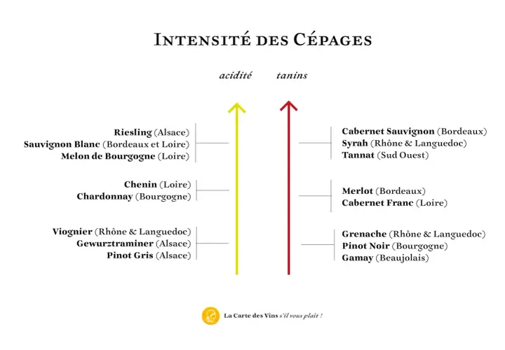 Graphique comparant l'acidité et les tanins de divers cépages, dont le Pinot Noir de Bourgogne.
