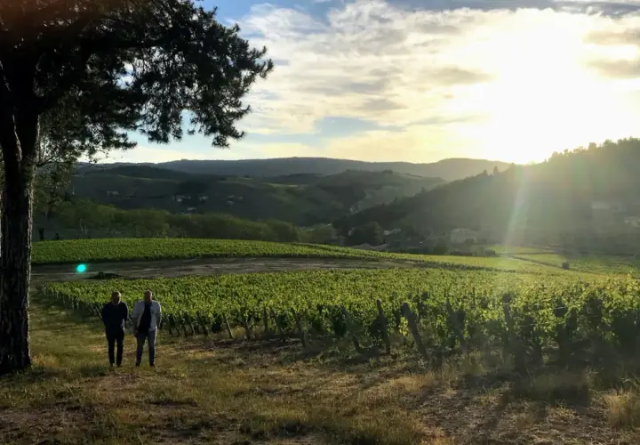 Deux hommes se promènent dans les vignes au coucher du soleil, près du **château de Poncié**. Le paysage vallonné est baigné d'une lumière dorée.