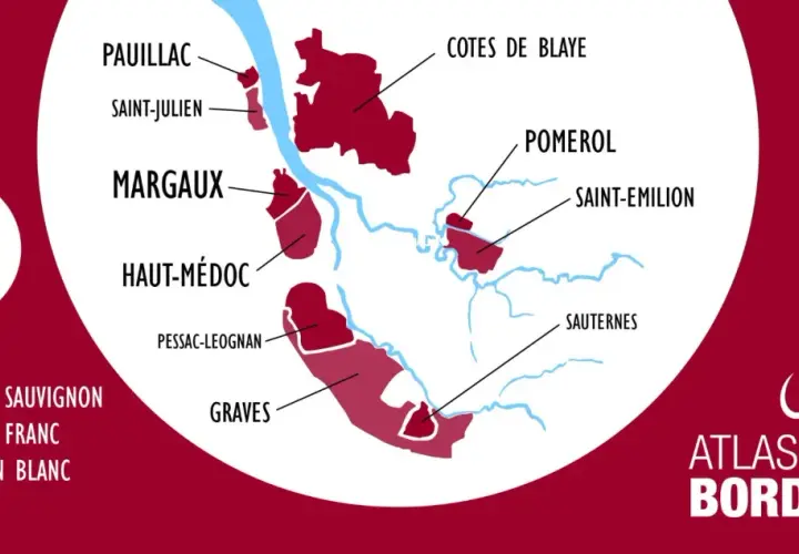 Carte illustrant la classification des vins de Bordeaux, avec les appellations comme Pauillac, Margaux, Pomerol, et les cépages principaux.