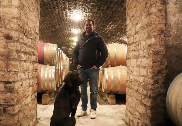 Denis Mortet, un vigneron passionné, pose dans sa cave aux côtés de son fidèle compagnon, un chien brun, entourés de fûts de vin en chêne.