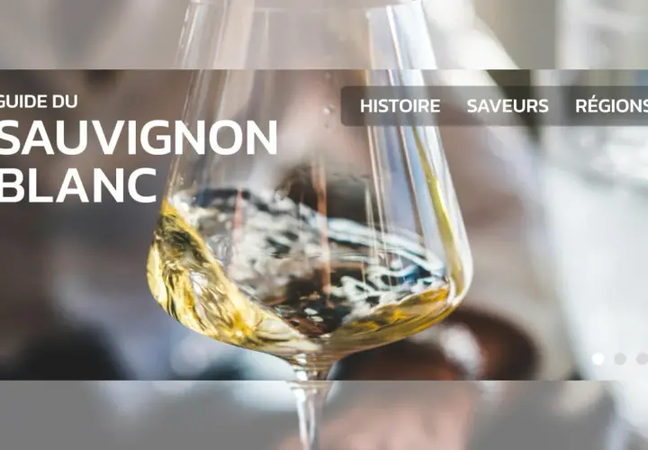 Un verre de vin blanc tourbillonne, promesse du meilleur vin blanc au monde. Guide du Sauvignon Blanc.