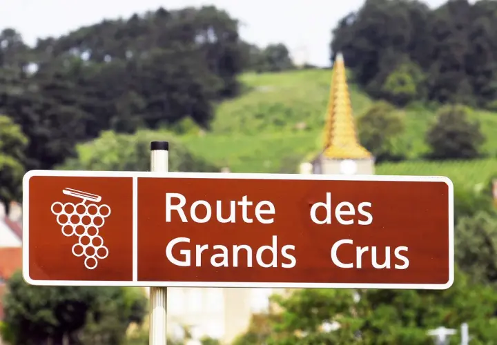 Panneau "Route des Grands Crus" en Bourgogne, promesse d'un vin rouge de Bourgogne très réputé. Paysage de vignobles et clocher doré en arrière-plan.