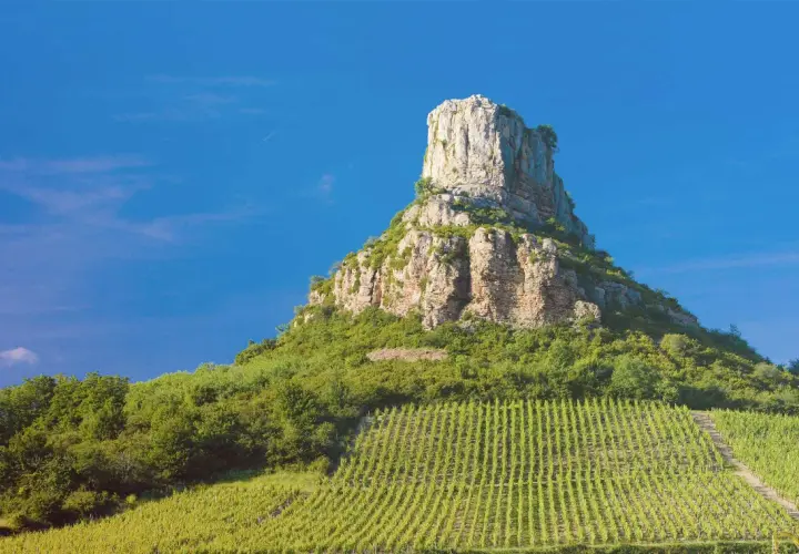 Le rocher de la Roche de Solutré, site emblématique de la Bourgogne, se dresse fièrement au-dessus des vignobles verdoyants. Un paysage à couper le souffle, digne des plus belles cartes postales de guffens heynen.