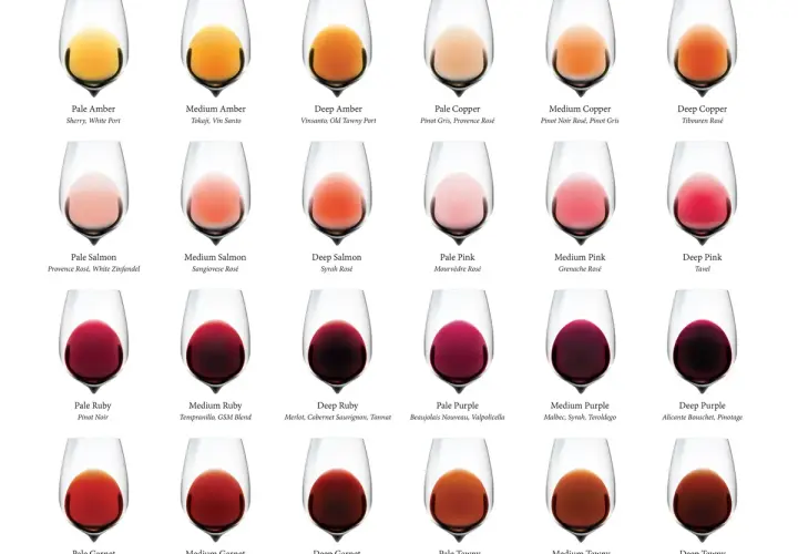 Tableau comparatif des couleurs de vins. Le Pinot Noir Rosé présente une couleur cuivrée moyenne, une nuance parmi d'autres.
