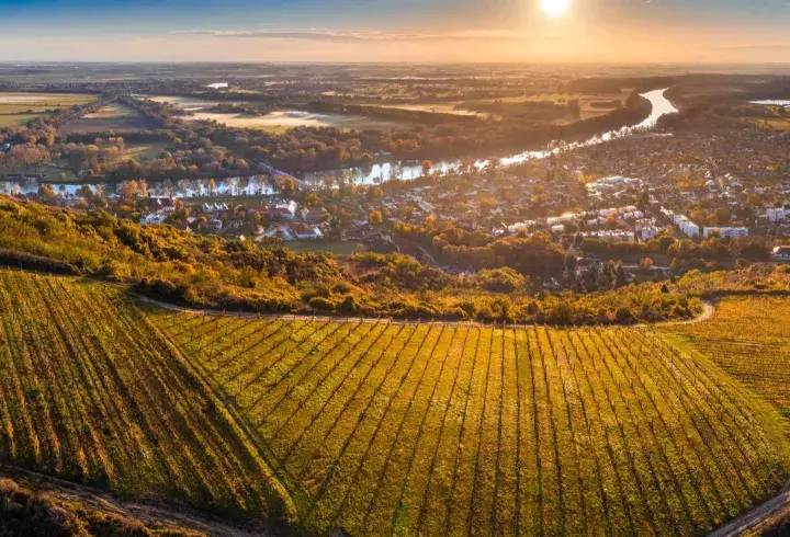 Vignoble doré baigné par le soleil, avec un village et une rivière en arrière-plan. Un paysage typique pour un vin hongrois.