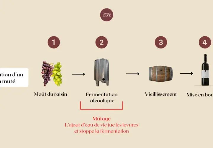 Schéma de fabrication d'un vin muté : moût de raisin, fermentation, vieillissement, mise en bouteille. Le mutage stoppe la fermentation.