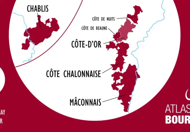 Carte des vignobles de Bourgogne, montrant Chablis, Côte d'Or, Côte Chalonnaise et Mâconnais. Le Chardonnay est roi pour le vin de Bourgogne blanc.