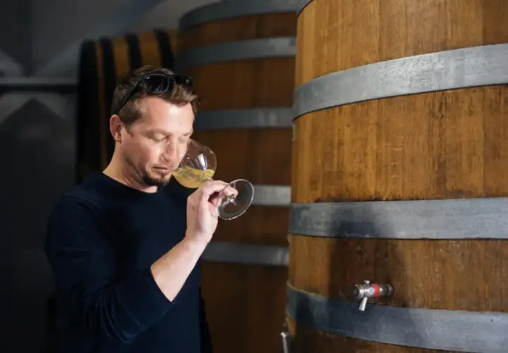 Un homme déguste un verre de vin blanc, peut-être un chardonnay, dans une cave à vin.