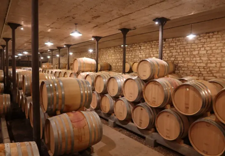 Cave à vin de Jacques Prieur, remplie de fûts en bois empilés, prêts à vieillir le vin.